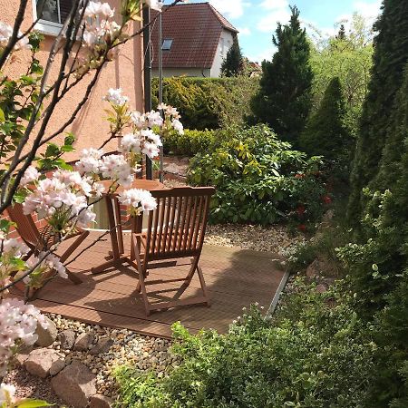 Ferienwohnung Storchenwiese In Nuthetal Ot Saarmund Exteriör bild